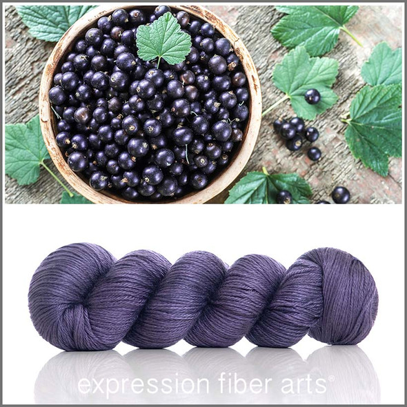 Pre-Order Blackcurrant 'OASIS' DK