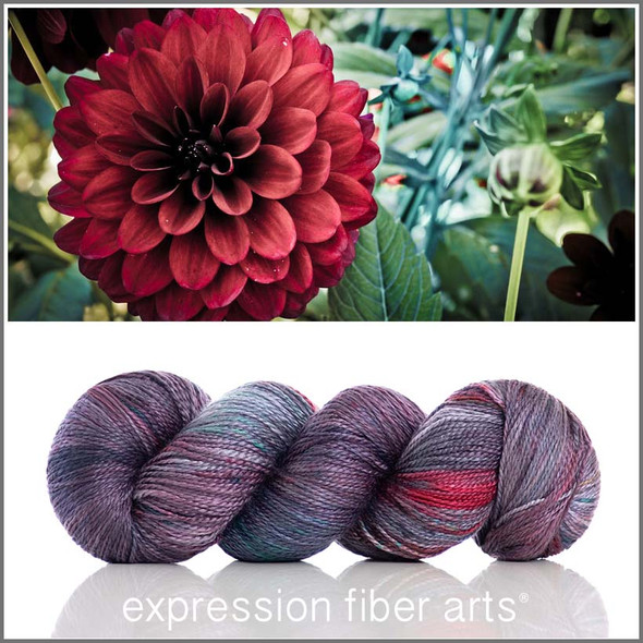 Crimson Mum 'Wishglow' Sport