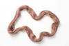 Pre-Order Dripping Honey 'LUSTER' WORSTED
