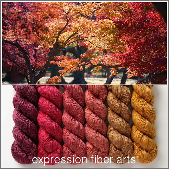Fiery Hues 'LUSTER' SPORT KIT 