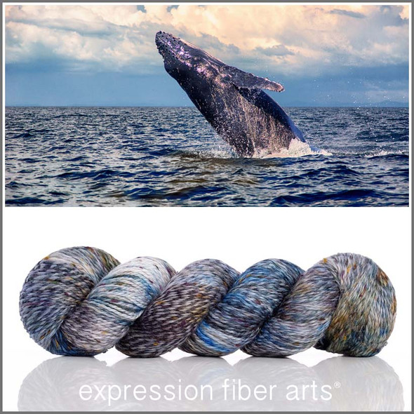 Pre-Order Humpback Whale 'TWISTED TWEED' SPORT