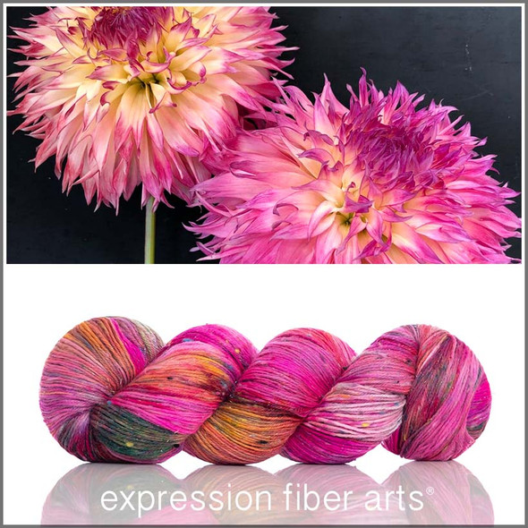 Pinelands Princess 'COSMIC CONFETTI' FINGERING