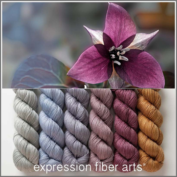 Trillium Hues 'LUSTER' SPORT KIT 