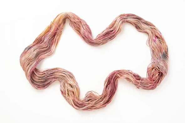 Pre-Order Carnation Charm 'BEACON' DK